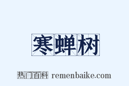 寒蝉树是什么意思的图片